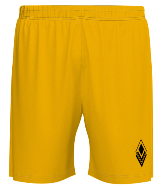 Basketball Shorts