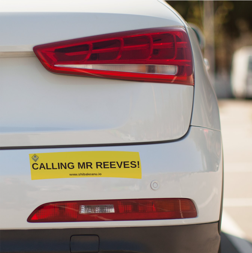 Bumper Sticker (8.12cm x 28.44cm) (3.2in x 11.12in)